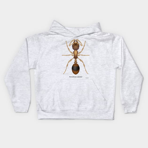 Temnothorax ant Kids Hoodie by CTinyFactory